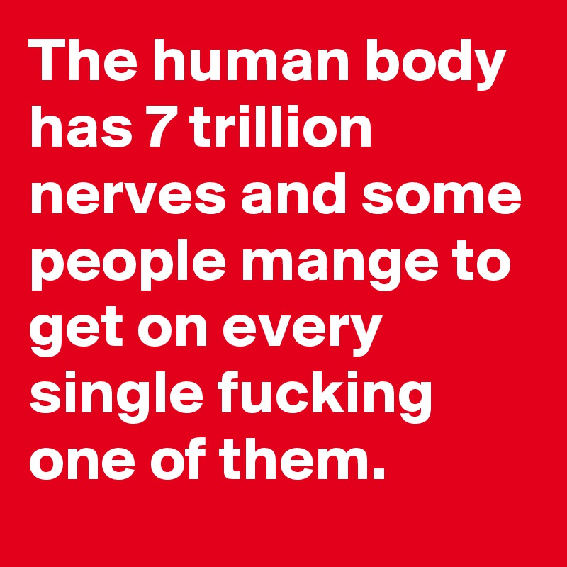 The human body has 7 trillion nerves and some people mange to get on every single fucking one of them.