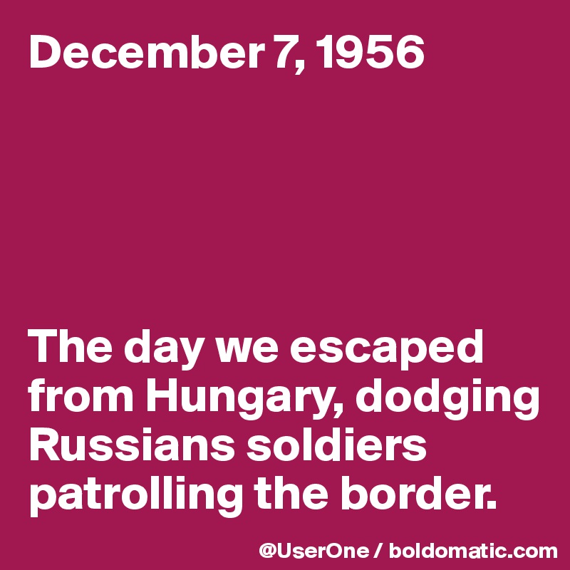 December 7, 1956





The day we escaped
from Hungary, dodging Russians soldiers patrolling the border.