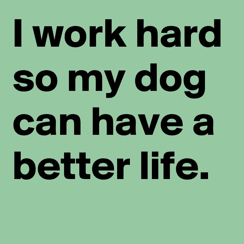 I work hard so my dog can have a better life. 