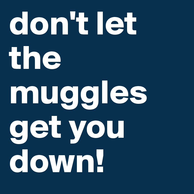 don't let the muggles get you down!
