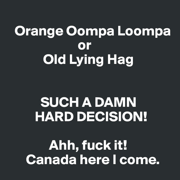 
  Orange Oompa Loompa 
                        or 
            Old Lying Hag


           SUCH A DAMN             
         HARD DECISION! 

              Ahh, fuck it! 
      Canada here I come. 