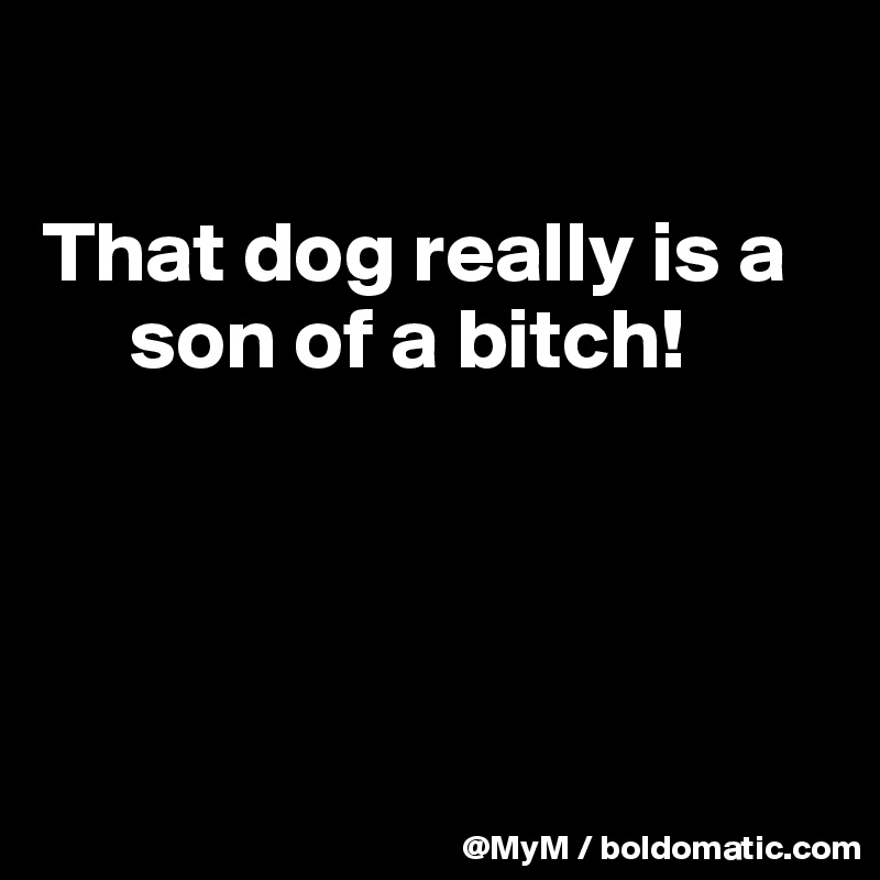 

That dog really is a   
     son of a bitch!




