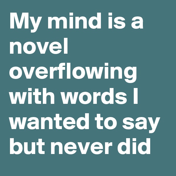 My mind is a novel overflowing with words I wanted to say but never did