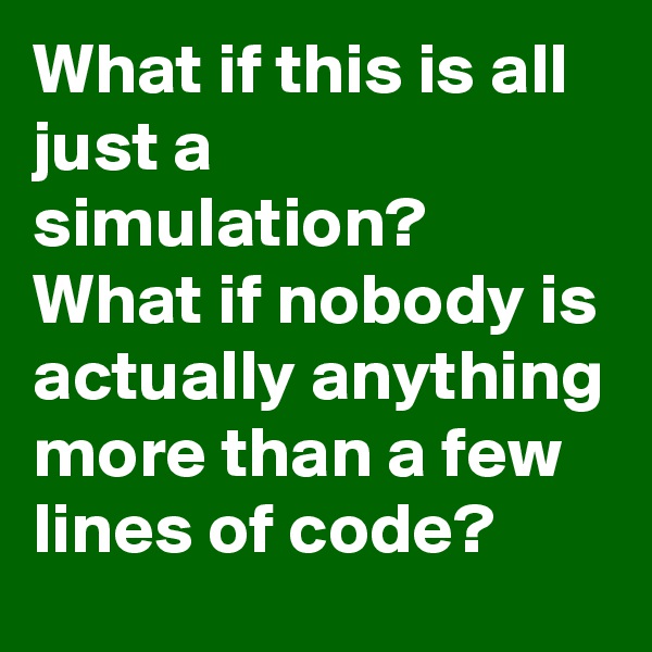 What if this is all just a simulation? What if nobody is actually anything more than a few lines of code?