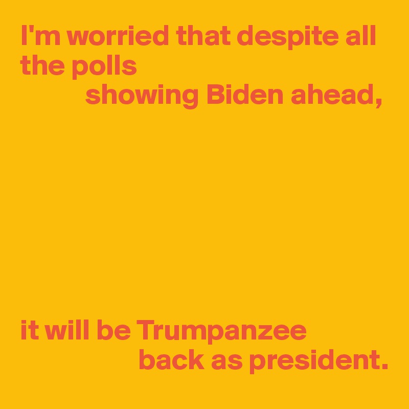 I'm worried that despite all the polls
           showing Biden ahead,







it will be Trumpanzee
                    back as president.