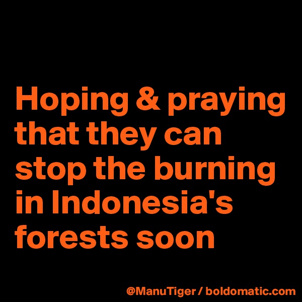 

Hoping & praying that they can stop the burning in Indonesia's forests soon 