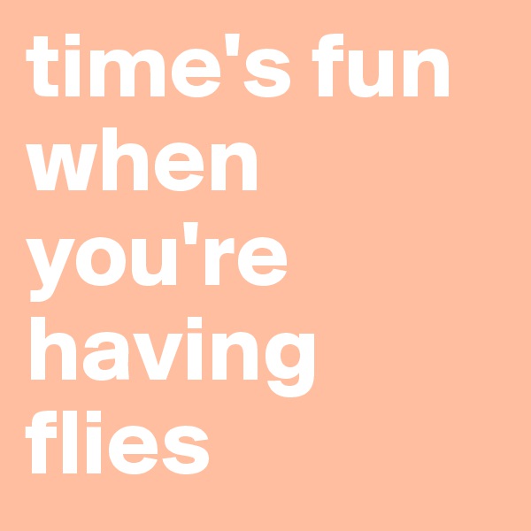 time's fun when you're having flies