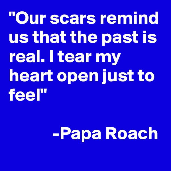 "Our scars remind us that the past is real. I tear my heart open just to feel"

            -Papa Roach