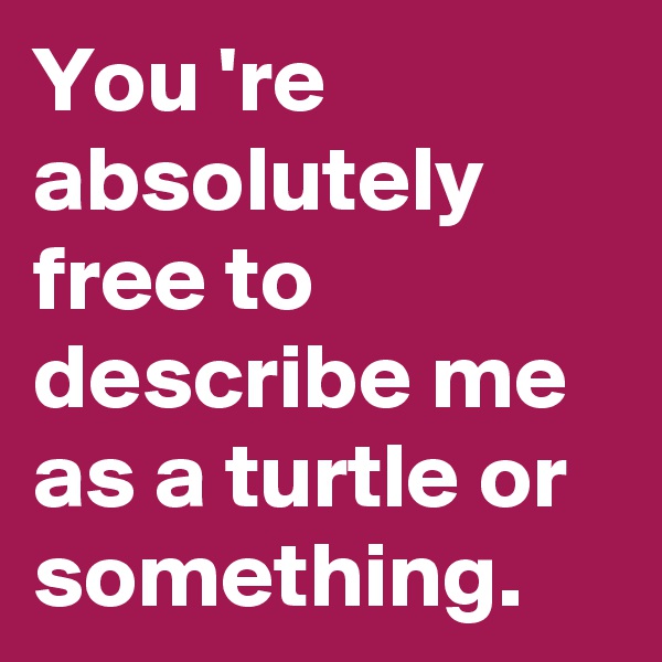 You 're absolutely free to describe me as a turtle or something.