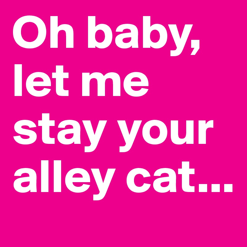 Oh baby, let me stay your alley cat...
