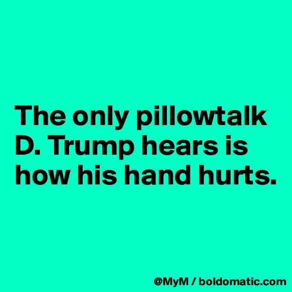 


The only pillowtalk D. Trump hears is how his hand hurts.

