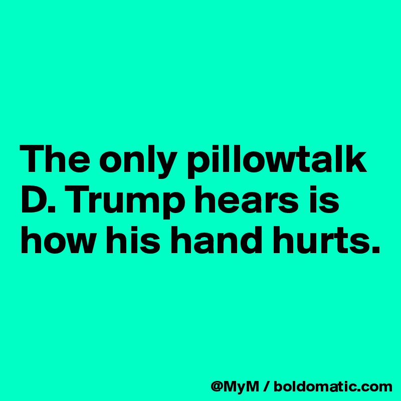 


The only pillowtalk D. Trump hears is how his hand hurts.

