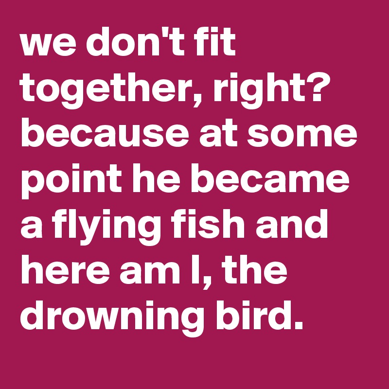 we don't fit together, right? because at some point he became a flying fish and here am I, the drowning bird. 
