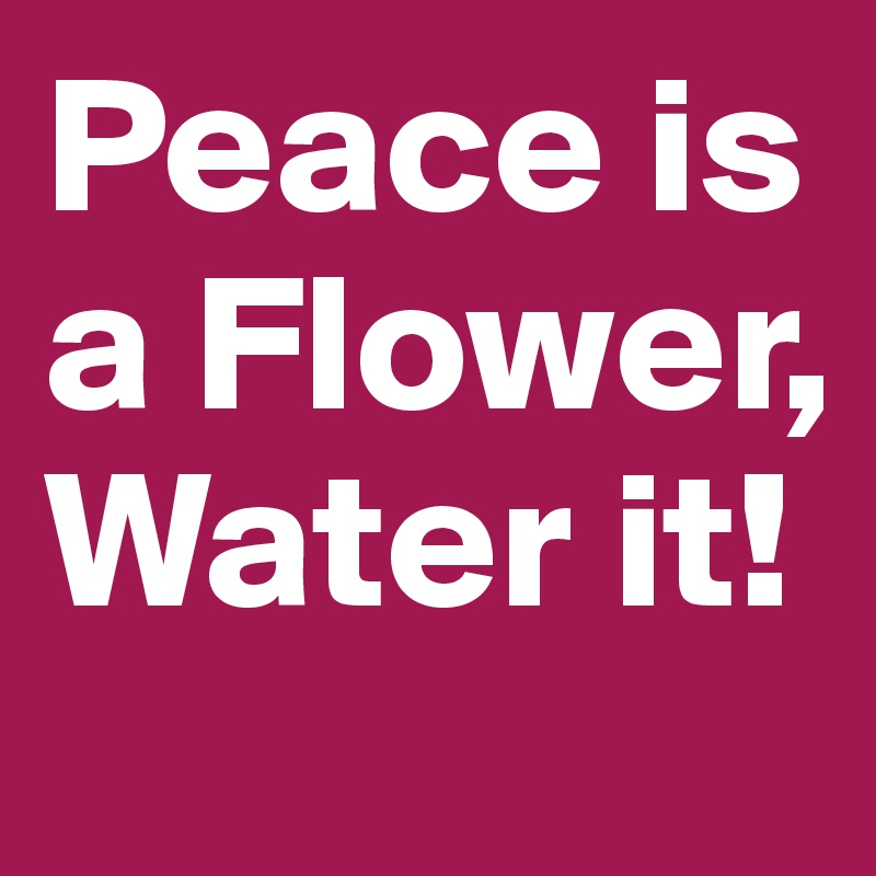 Peace is a Flower, Water it!