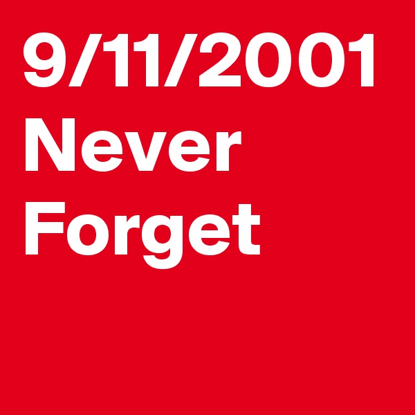9/11/2001
Never Forget

