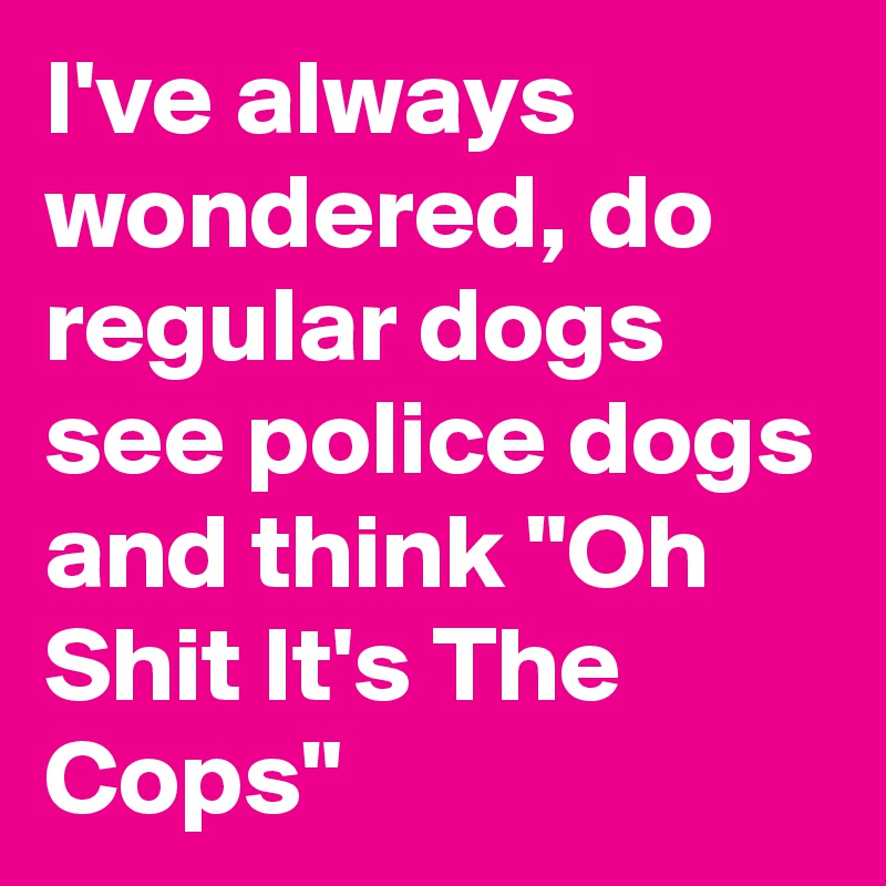 I've always wondered, do regular dogs see police dogs and think "Oh Shit It's The Cops" 
