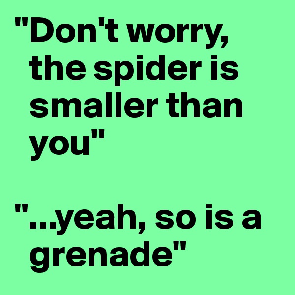 "Don't worry,
  the spider is
  smaller than
  you"

"...yeah, so is a
  grenade"