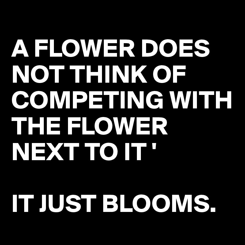 
A FLOWER DOES NOT THINK OF COMPETING WITH
THE FLOWER NEXT TO IT '

IT JUST BLOOMS. 