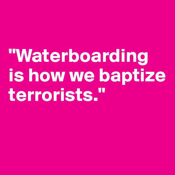 

"Waterboarding is how we baptize terrorists."

