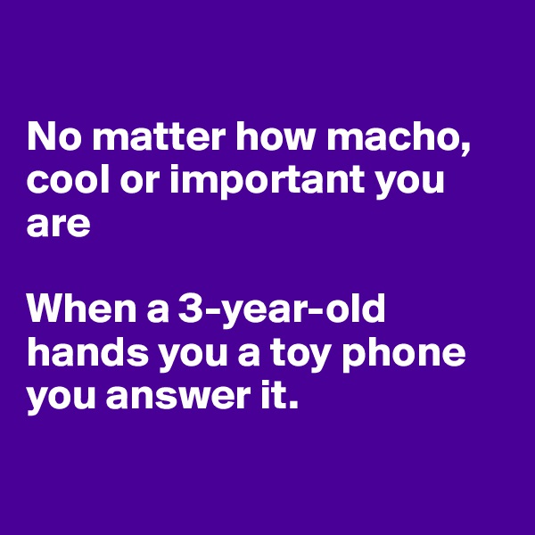 

No matter how macho, cool or important you are

When a 3-year-old hands you a toy phone you answer it. 

