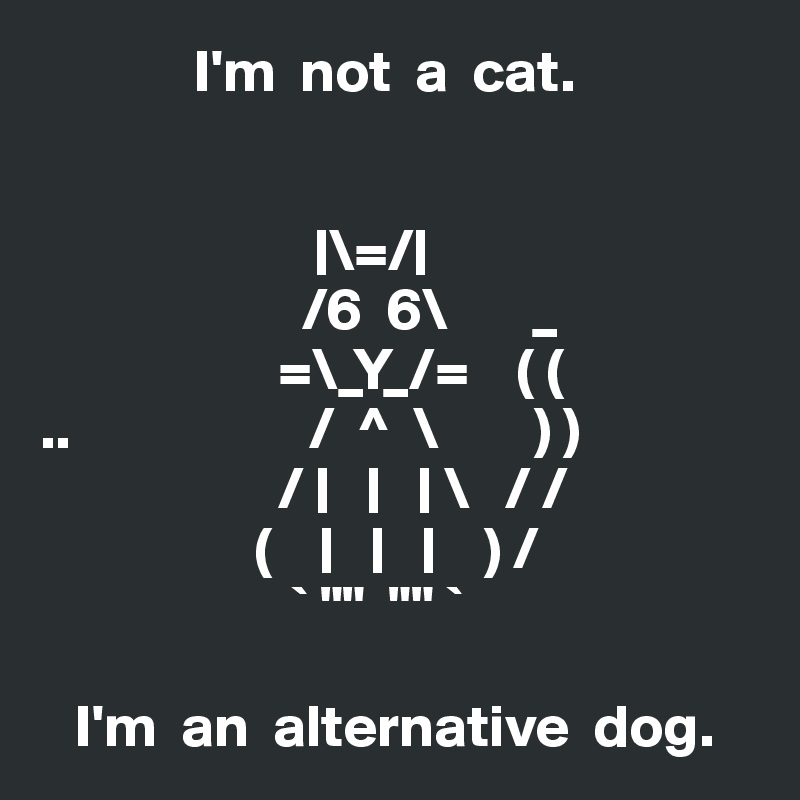              I'm  not  a  cat.


                       |\=/|
                      /6  6\       _
                    =\_Y_/=    ( (
..                    /  ^  \        ) )
                    / |   |   | \   / /
                  (    |   |   |    ) /
                     ` ""  "" `

   I'm  an  alternative  dog.