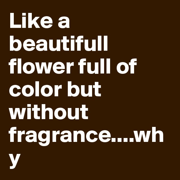 Like a beautifull flower full of color but without fragrance....why