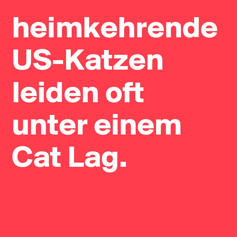 heimkehrende US-Katzen leiden oft unter einem Cat Lag.