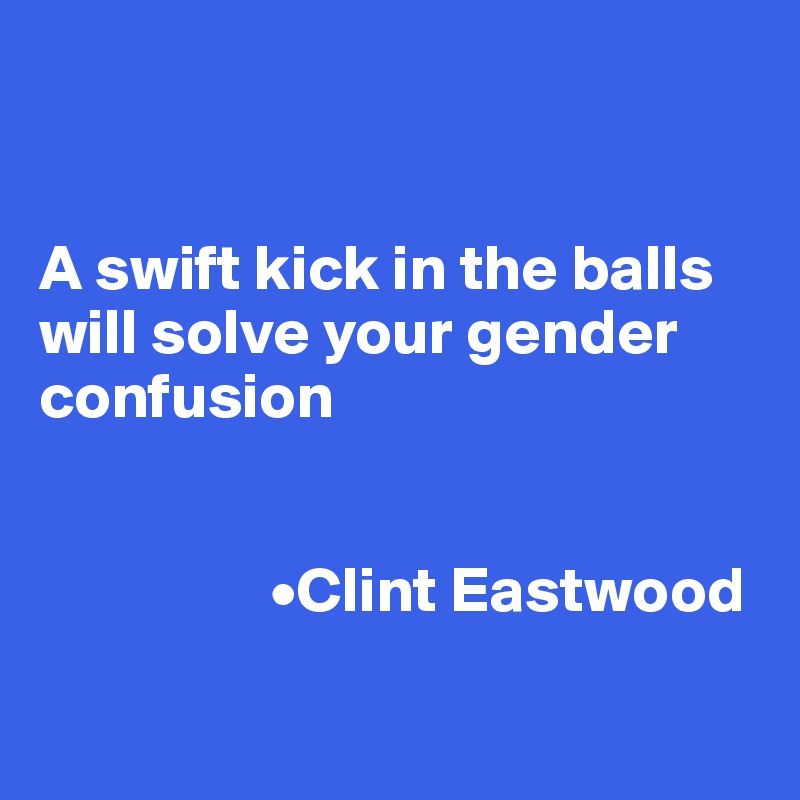 


A swift kick in the balls will solve your gender confusion


                  •Clint Eastwood

