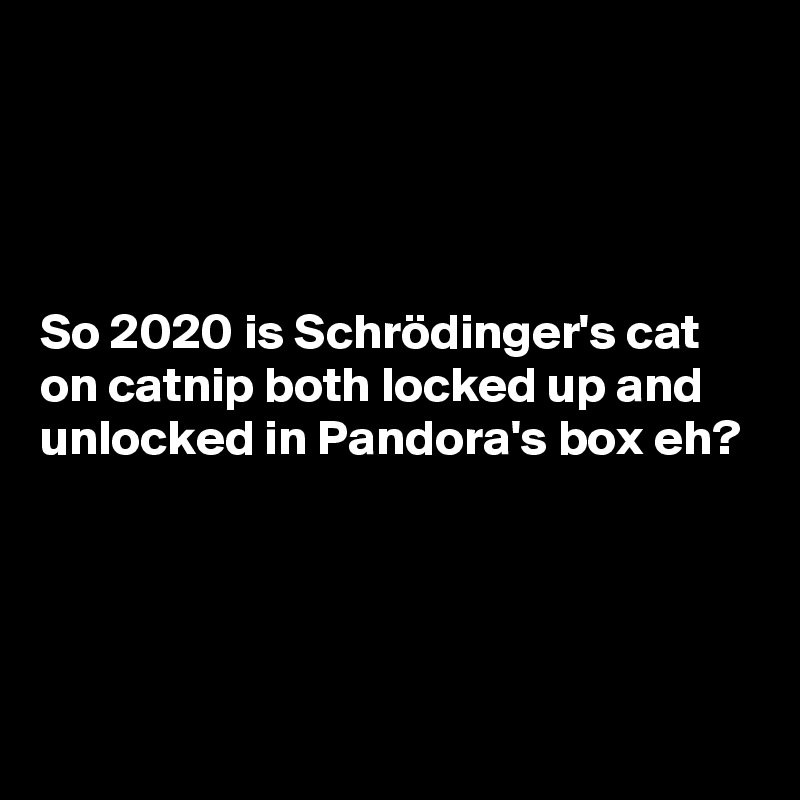 




So 2020 is Schrödinger's cat on catnip both locked up and unlocked in Pandora's box eh?




