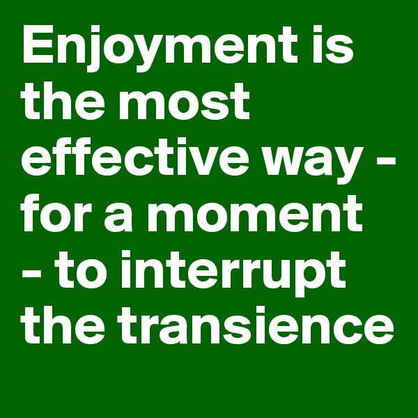 Enjoyment is the most effective way - for a moment - to interrupt the transience