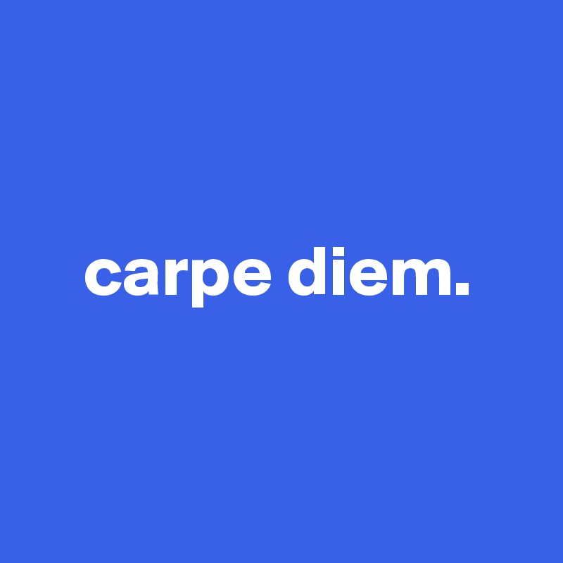 


    carpe diem.


