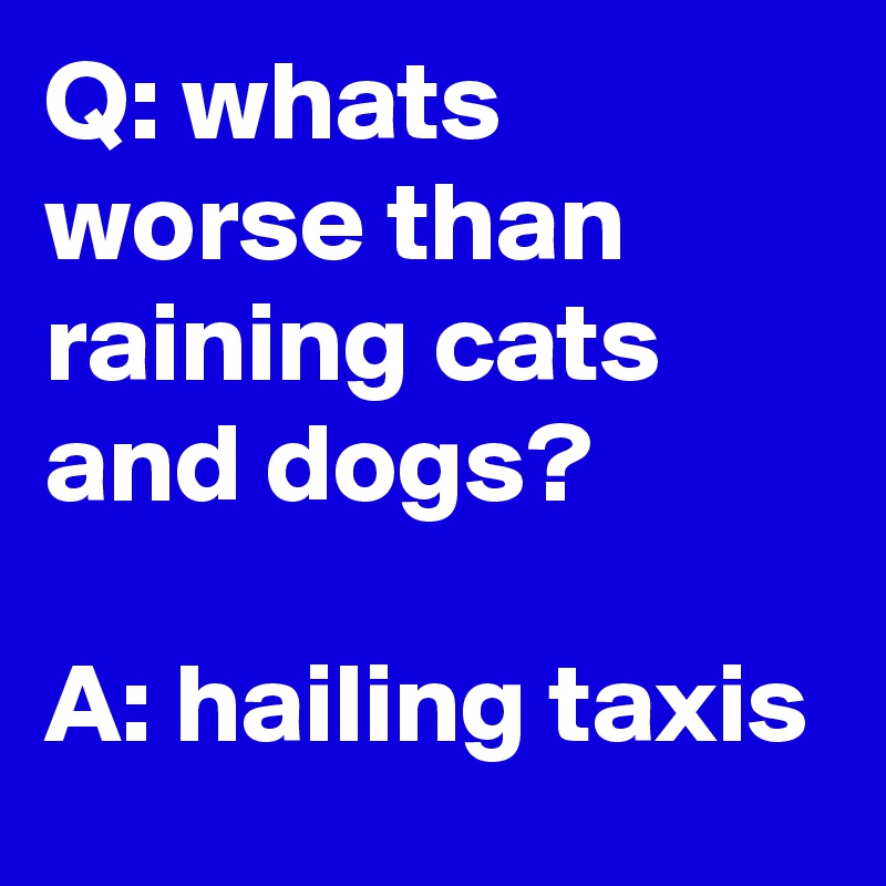 Q: whats worse than raining cats and dogs?

A: hailing taxis