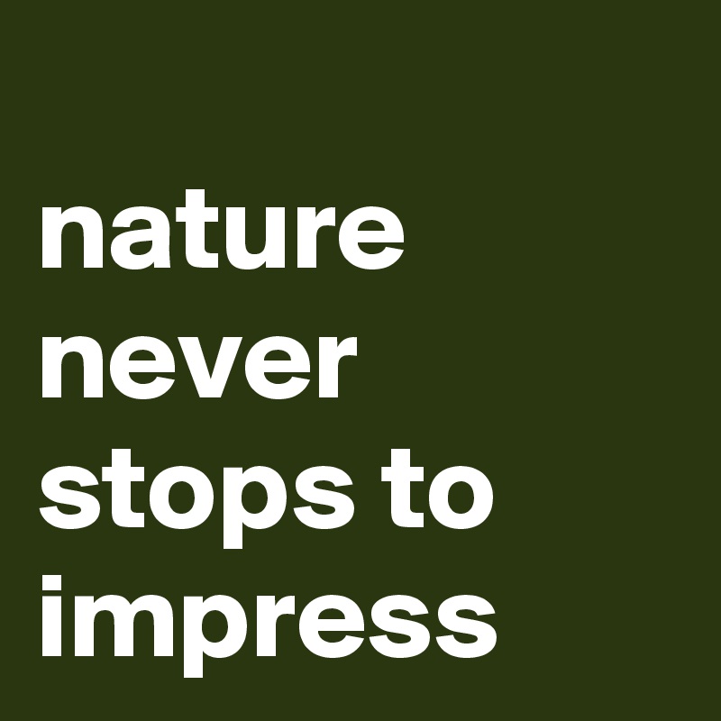 
nature never stops to impress