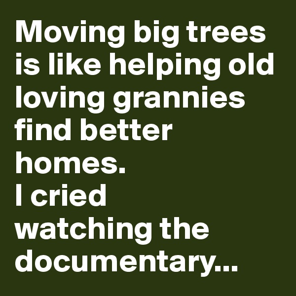 Moving big trees is like helping old loving grannies find better homes.
I cried 
watching the documentary...