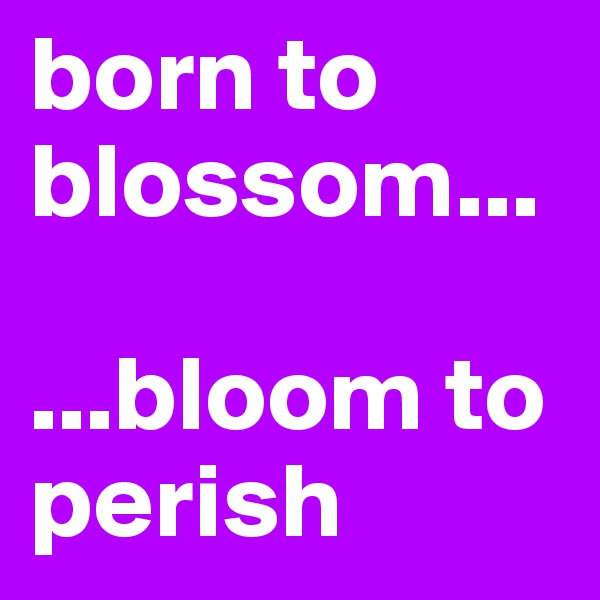 born to blossom...

...bloom to perish