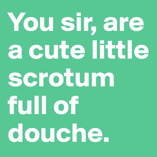 You sir, are a cute little scrotum full of douche.