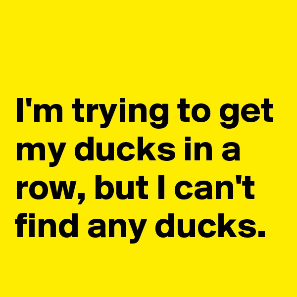 

I'm trying to get my ducks in a row, but I can't find any ducks.