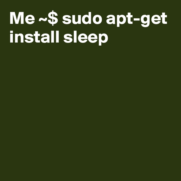 Me ~$ sudo apt-get
install sleep





