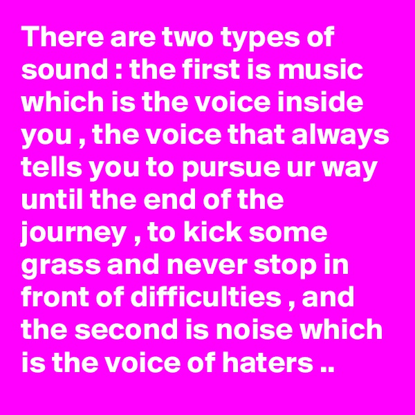 There are two types of sound : the first is music which is the voice inside you , the voice that always tells you to pursue ur way until the end of the journey , to kick some grass and never stop in front of difficulties , and the second is noise which is the voice of haters ..