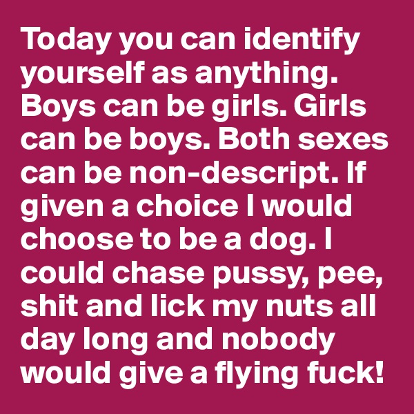 Today you can identify yourself as anything. Boys can be girls. Girls can be boys. Both sexes can be non-descript. If given a choice I would choose to be a dog. I could chase pussy, pee, shit and lick my nuts all day long and nobody would give a flying fuck!