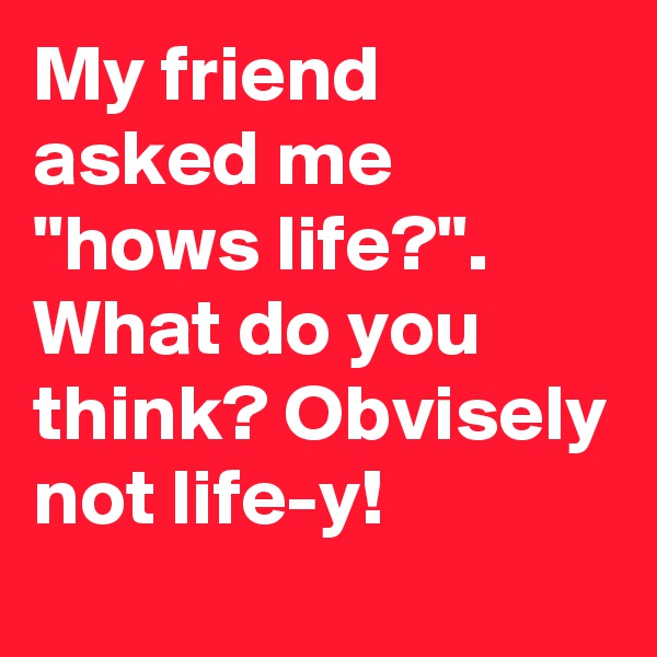 My friend asked me "hows life?".  What do you think? Obvisely not life-y!