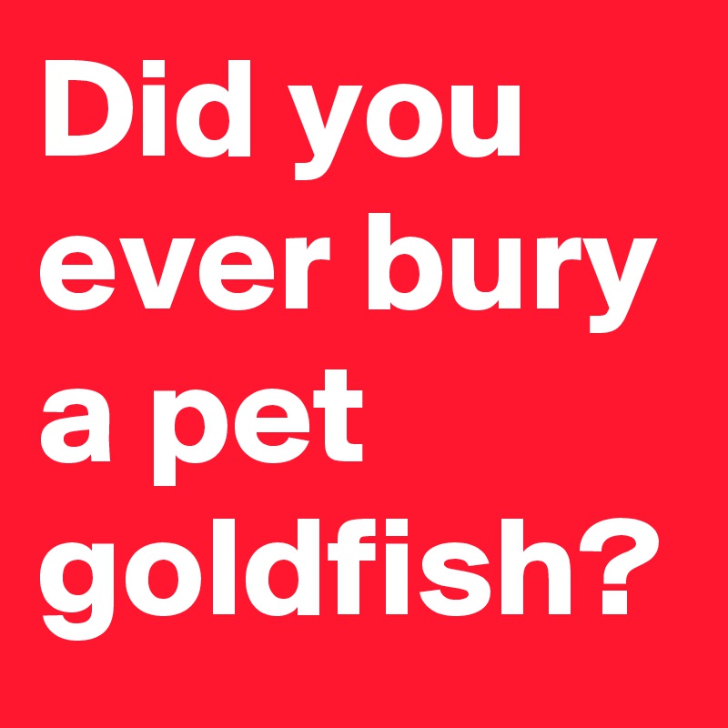 Did you ever bury a pet goldfish?