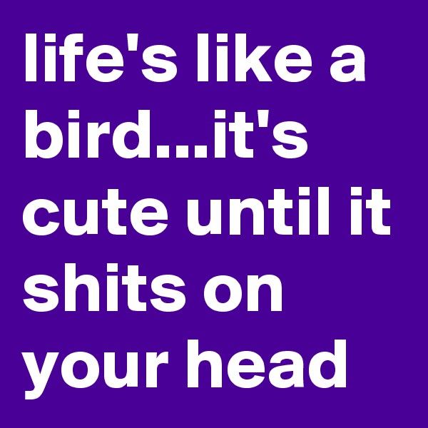 life's like a bird...it's cute until it shits on your head