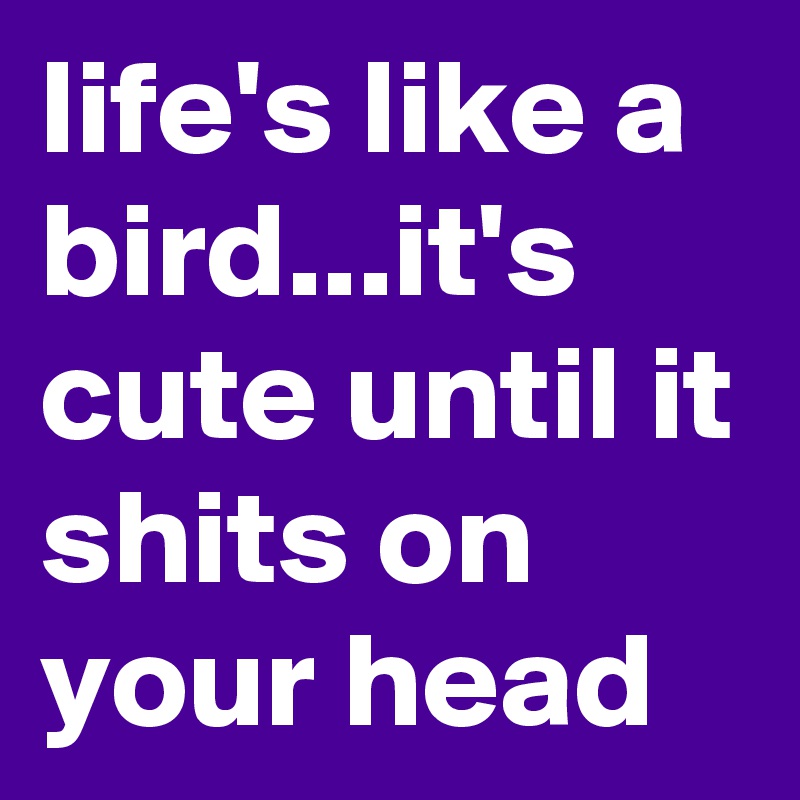 life's like a bird...it's cute until it shits on your head