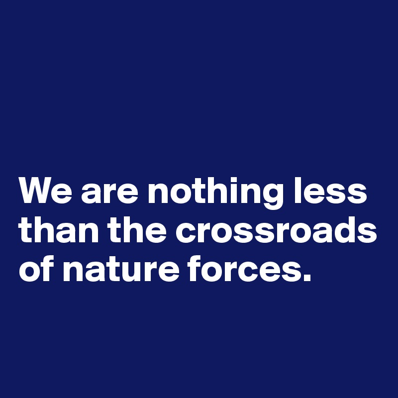 



We are nothing less than the crossroads of nature forces.

