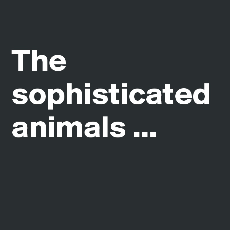 
The sophisticated 
animals ... 