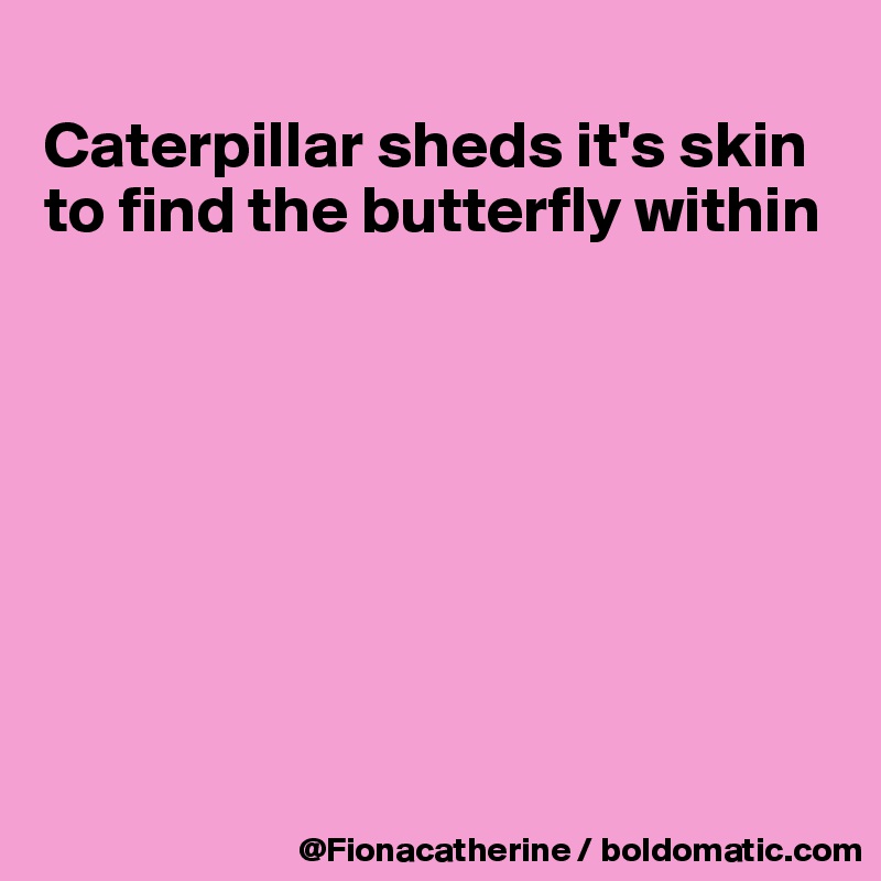 
Caterpillar sheds it's skin
to find the butterfly within








