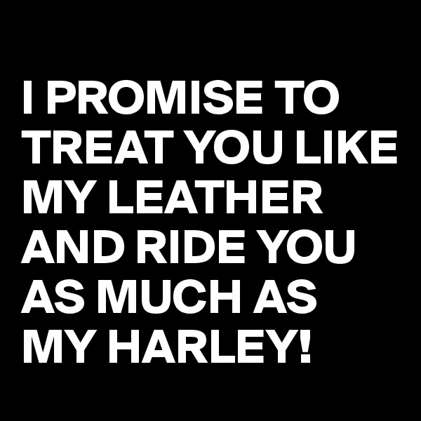 
I PROMISE TO TREAT YOU LIKE MY LEATHER AND RIDE YOU AS MUCH AS MY HARLEY!