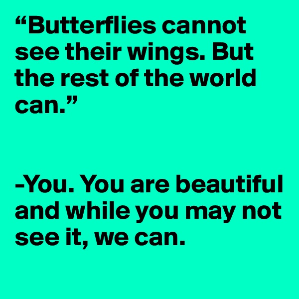 “Butterflies cannot see their wings. But the rest of the world can.”


-You. You are beautiful and while you may not see it, we can. 