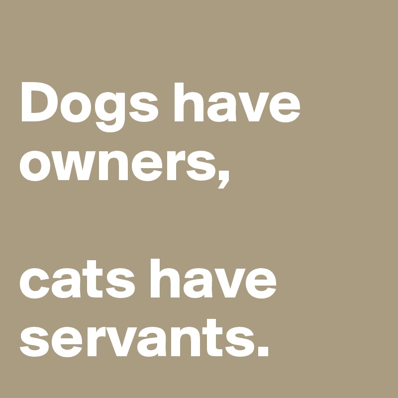 
Dogs have owners, 

cats have servants.